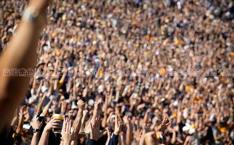 williamhill英国威廉希尔华扬联众英国黄色长头发足球运动员：探索这些稀有品种在英超的表现如何