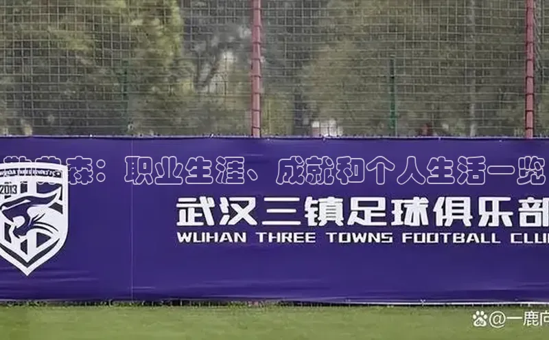 威廉希尔足球数据极氪智能科技勒弗森：职业生涯、成就和个人生活一览