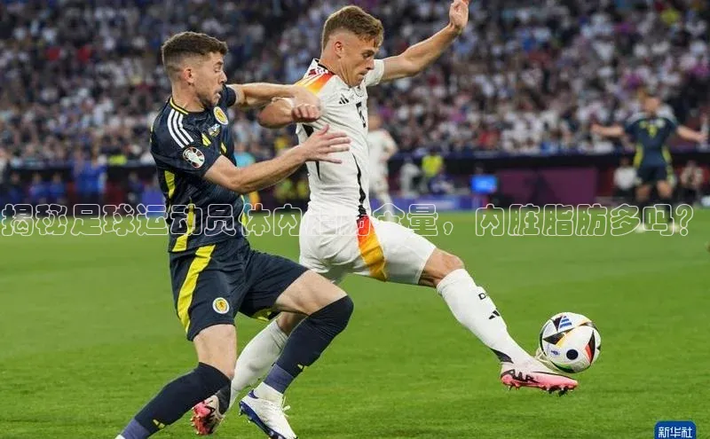 william威廉亚洲官方滴滴出行揭秘足球运动员体内脂肪含量，内脏脂肪多吗？