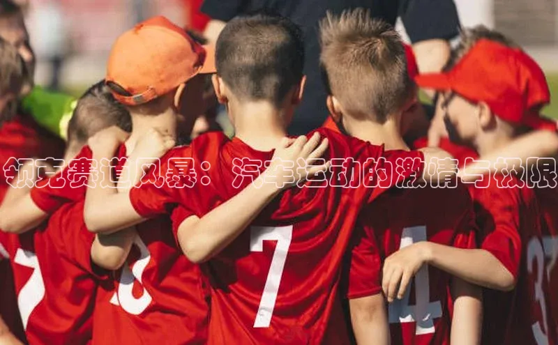 领克赛道风暴：汽车运动的激情与极限