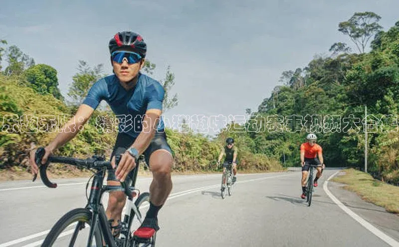 乐趣无限：精彩的小猪趣味运动赛事视频大合集