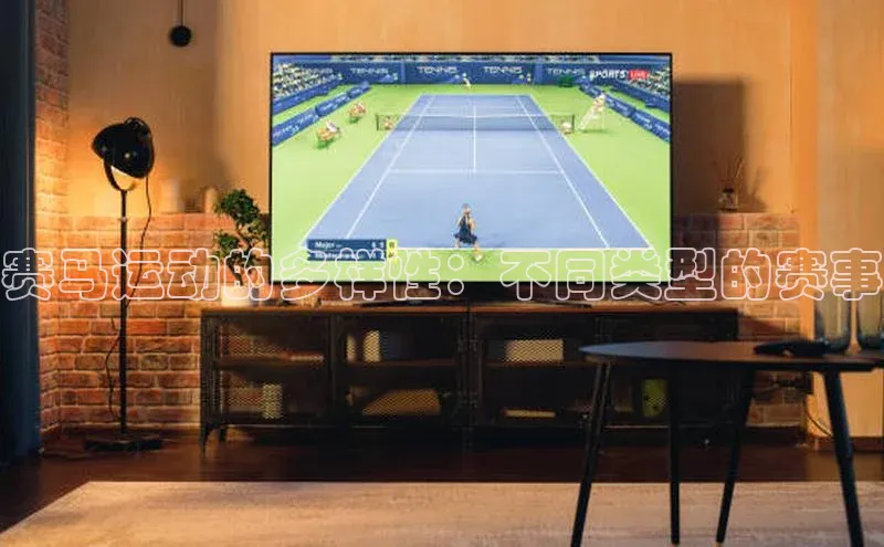 赛马运动的多样性：不同类型的赛事