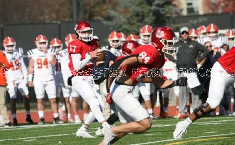 构建高质量鱼竿竞赛生态系统：推动钓鱼运动的未来方向