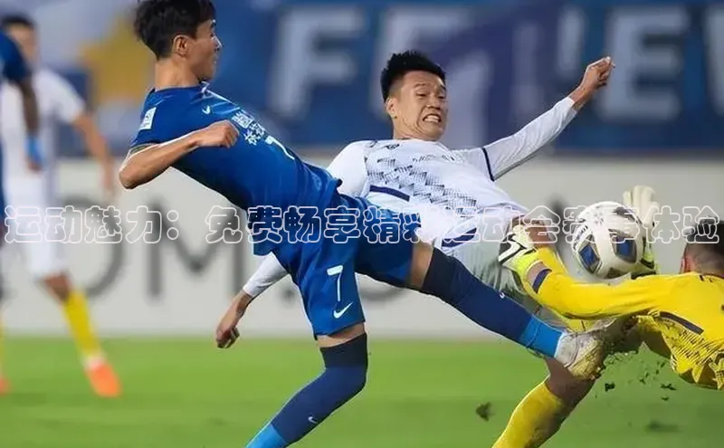 运动魅力：免费畅享精彩运动会赛事体验