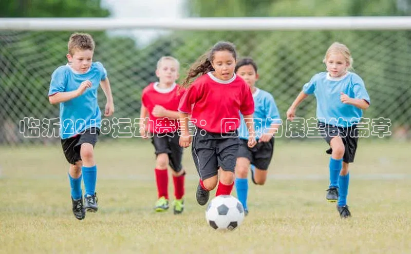 临沂2018运动赛事：回顾与展望的篇章