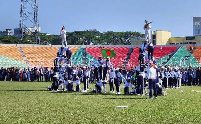 构建冰球运动的完美舞台：赛事组织架构详解
