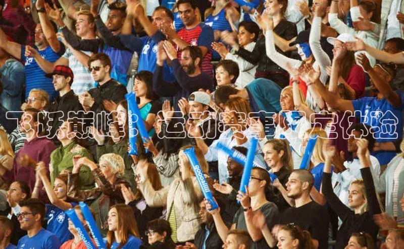 飞跃巅峰：运动赛事限定体验