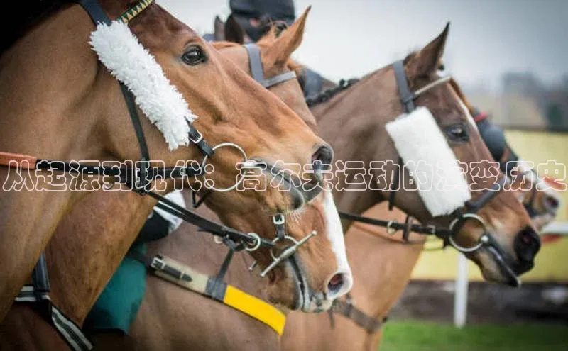 从起源到现代：高尔夫运动的演变历史