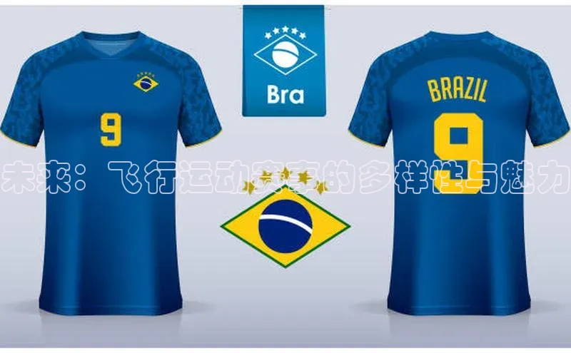 未来：飞行运动赛事的多样性与魅力