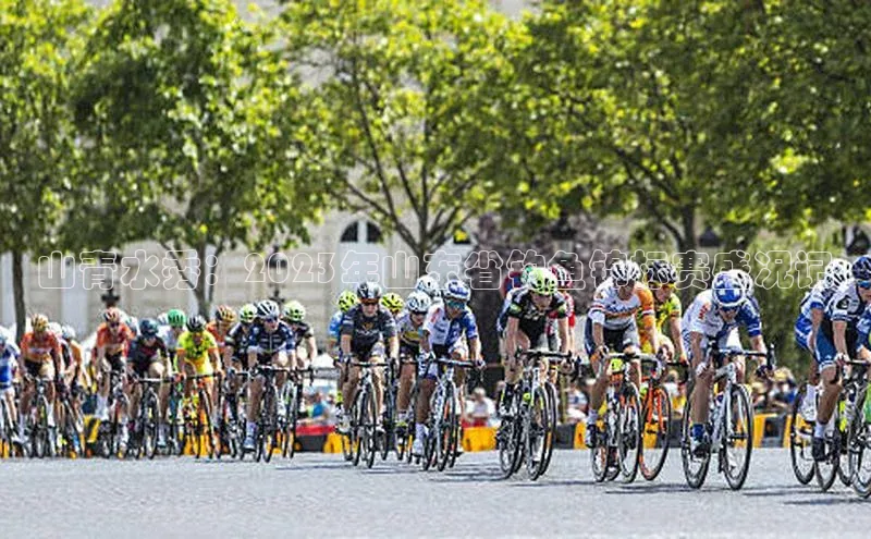 山青水秀：2023年山东省钓鱼锦标赛盛况记