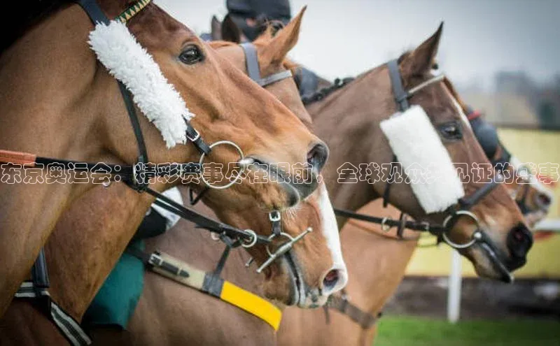 williamhill体育在线登录