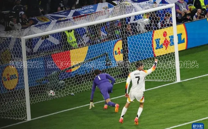 威廉希尔官网网址是多少